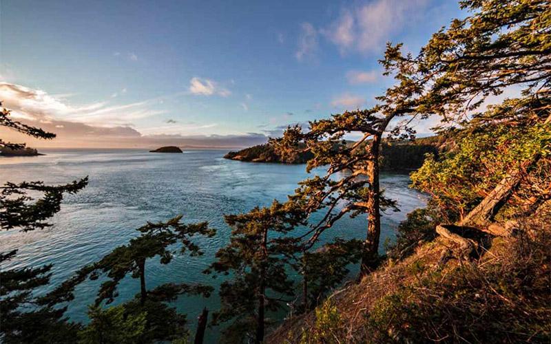 小国投资入籍有多大？详解其潜在价值与影响