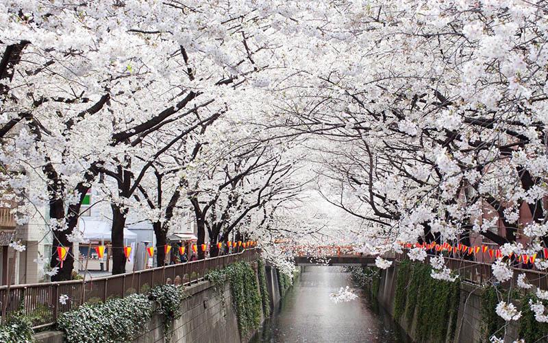 在哪换美国投资入籍？详细步骤与常见问题解答