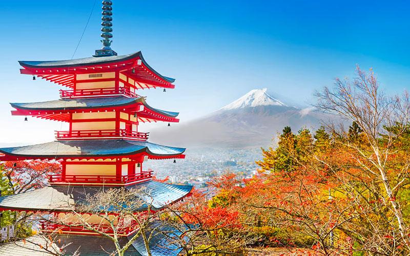 小国投资入籍值得吗？全面解析小国投资入籍的优势与风险