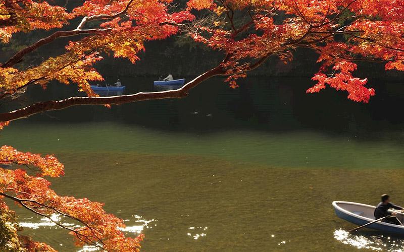 如何拥有小国投资入籍？快速获取的策略与方法