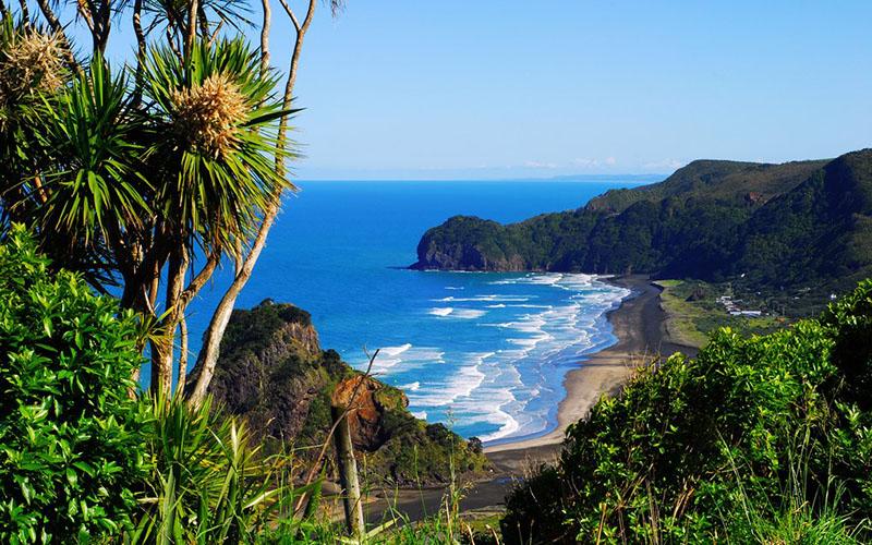 小国绿卡申请投资入籍要多久？详解办理流程与注意事项