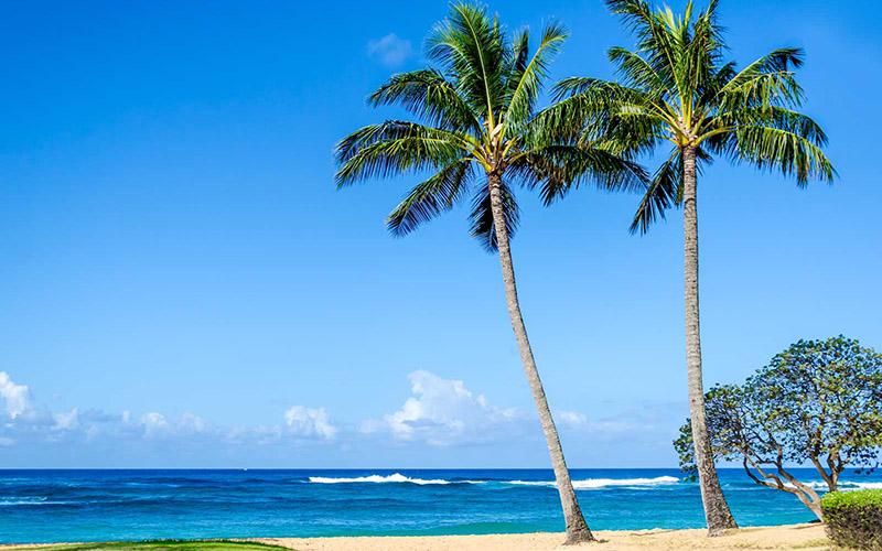 EB1A如何评估？评估标准及申请策略解析