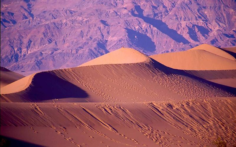 近期EB1A申请是否较之前容易？较新趋势与申请建议